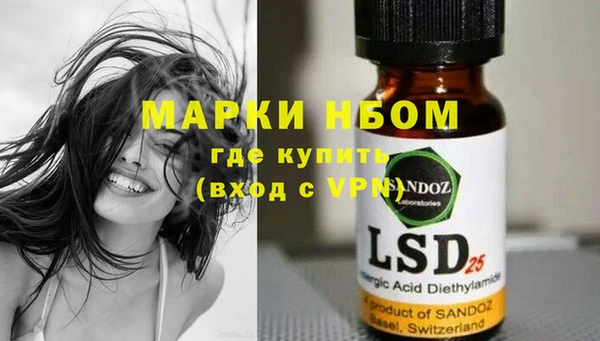 мяу мяу мука Аркадак