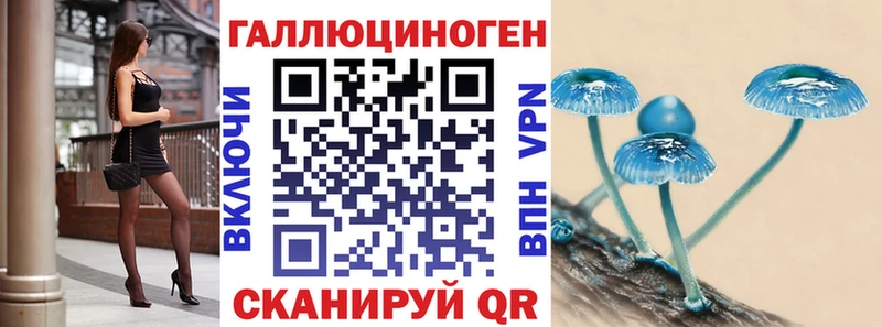 Галлюциногенные грибы Psilocybe  Саранск 